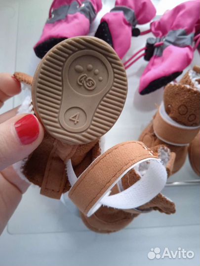 Сапоги для собак