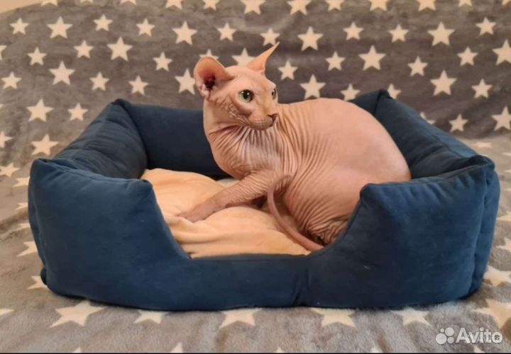 Лежанка для собак