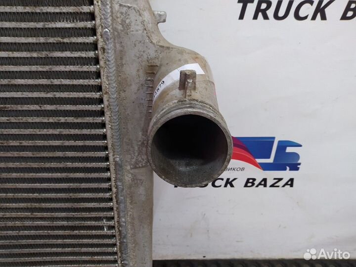 Интеркулер Iveco Stralis