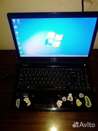 Ноутбук DNS w253egq (0164926)