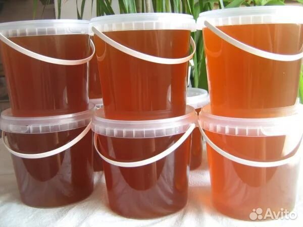 Пчелосемья