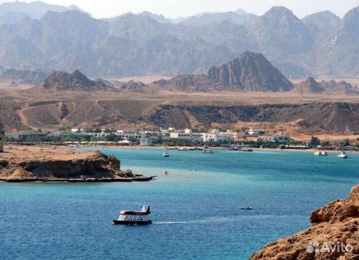 Тур в Sharm El-Sheikh 6 дн