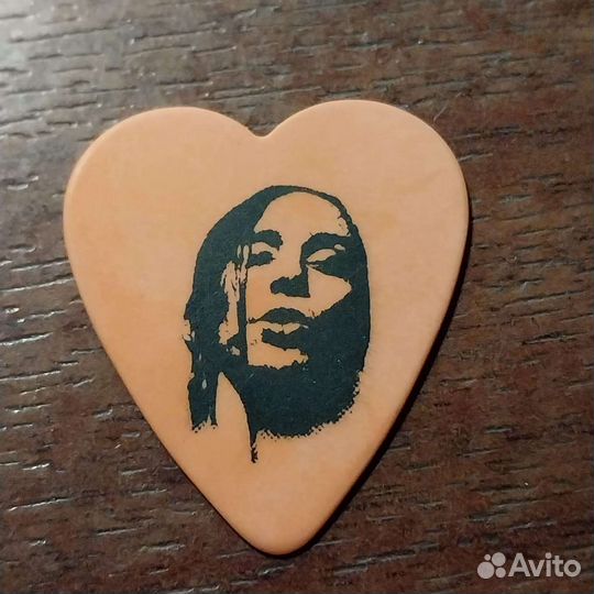 Медиатор Backyard Babies Dregen