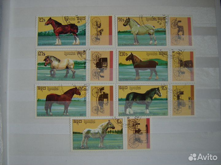 Фауна. Лошади