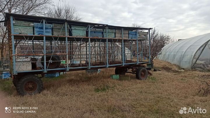 Продам пасеку