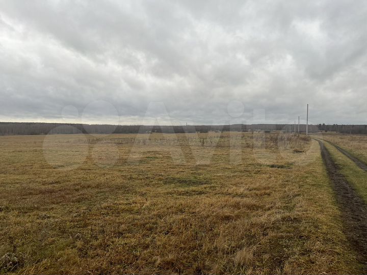 Участок 3,94 га (СНТ, ДНП)