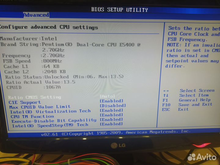 Материнская плата