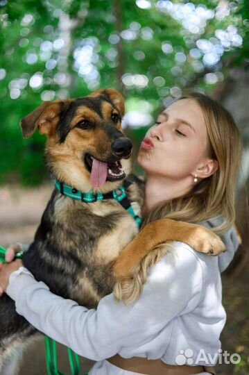 Собака малышка Флора ищет семью из приюта