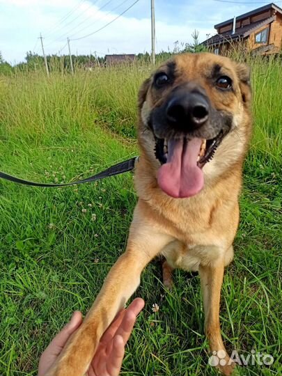 Джесси очень ждёт помощи и своего человека
