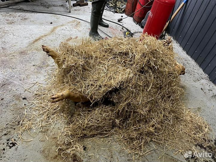 Сало. Пожалуй лучшее сало в Крыму