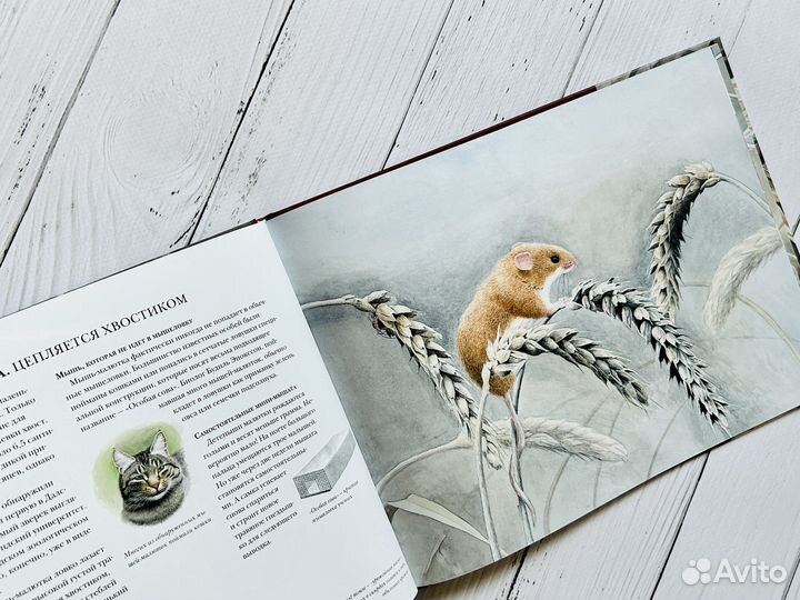Книги детские (ид Белая ворона)