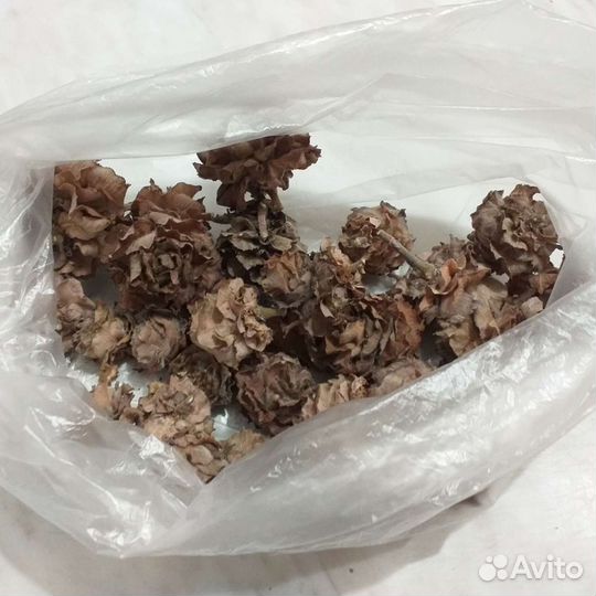 Цветы сухоцветы