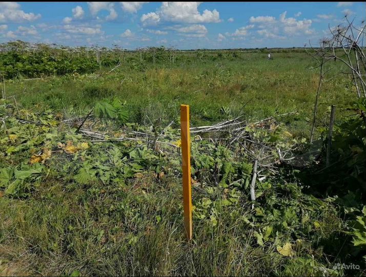 Участок 10 сот. (СНТ, ДНП)