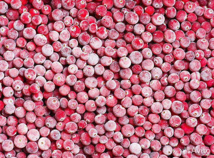 Брусника свежемороженная в наличии