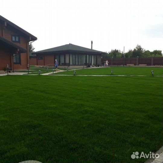 Рулонный газон от производителя