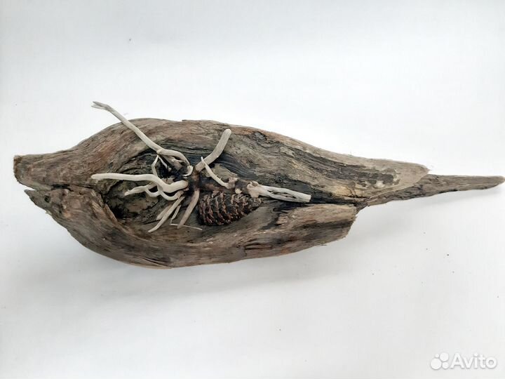 Коряга для моссариума