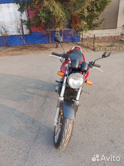 Honda CB250FT Hornet