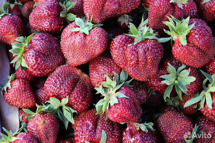 Клубника рубиновый кулон кассета