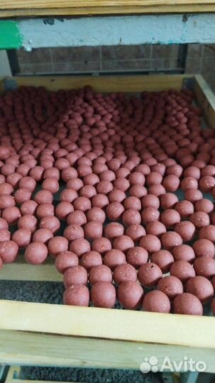 Прикормка для рыбалки бойлы пеллетс