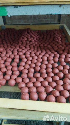 Прикормка для рыбалки бойлы пеллетс