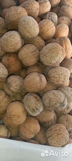 Грецкий орех