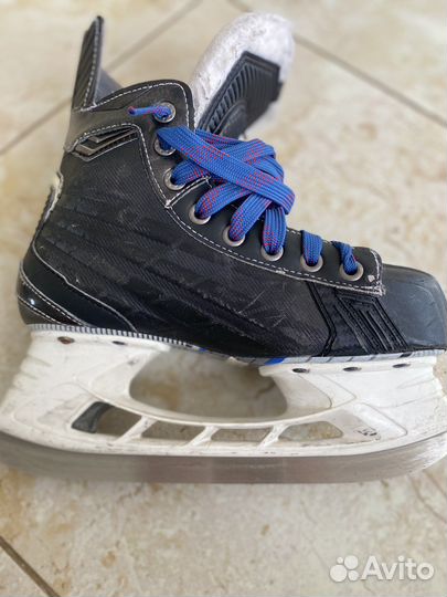 Коньки bauer nexus 7000