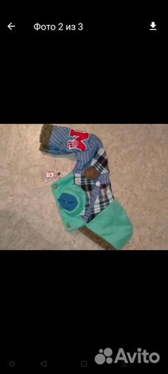 Одежда для собак