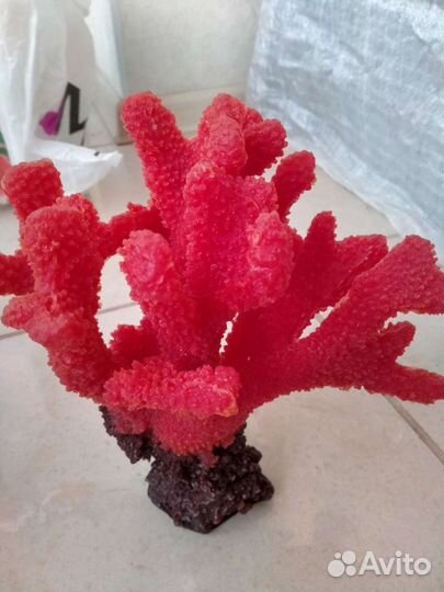 Коралл искусственный