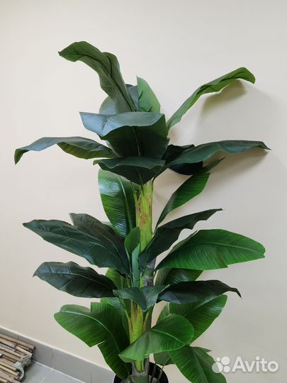 Пальма Банановая Премиум искусственная цветок дом