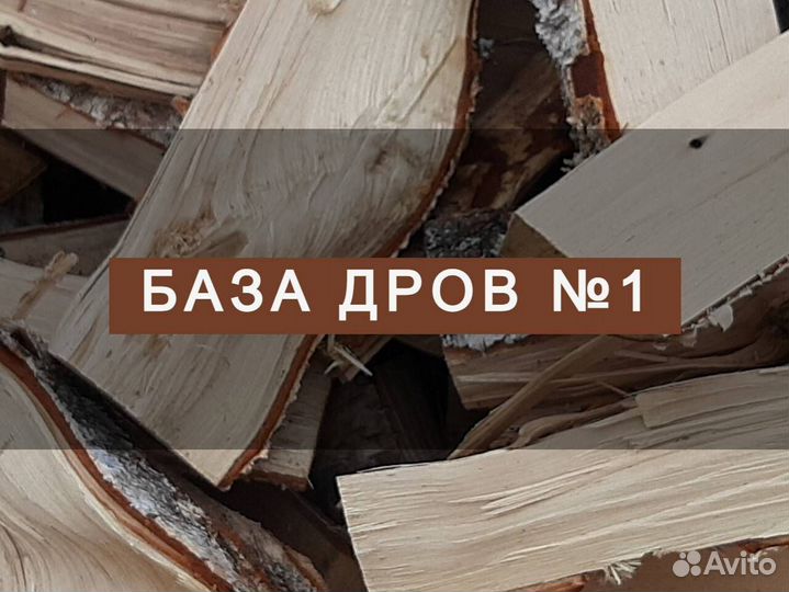 Дрова дуб
