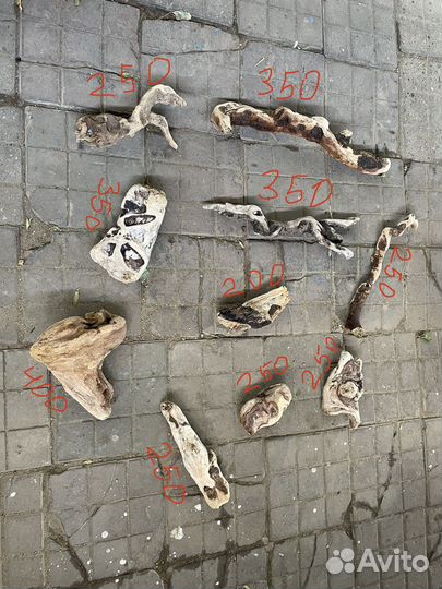 Коряги для аквариума и террариума