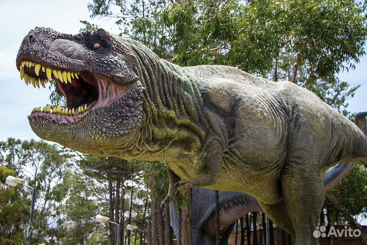 Набор значков с динозаврами