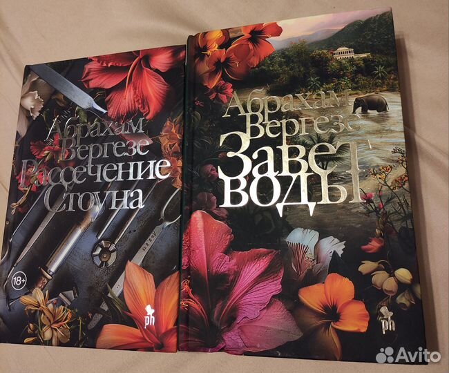 Абрахам Вергезе Завет воды, Рассечение Стоуна