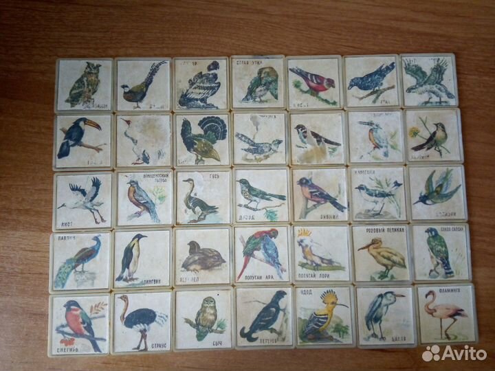 Стиратели, Липпер, мячики (пятерочка), Конструктор