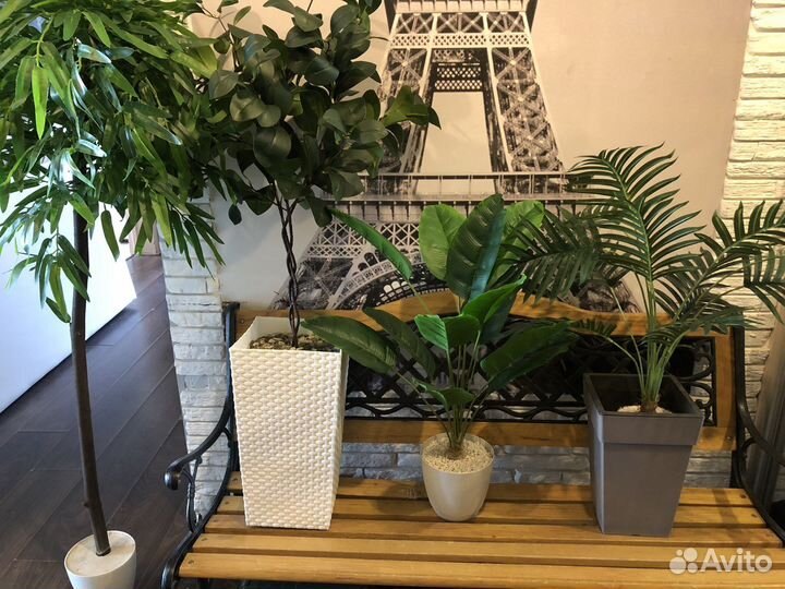 Искусственная пальма, декоративные растения