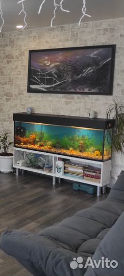 Аквариум