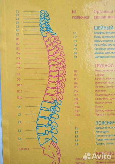 Массажный пояс