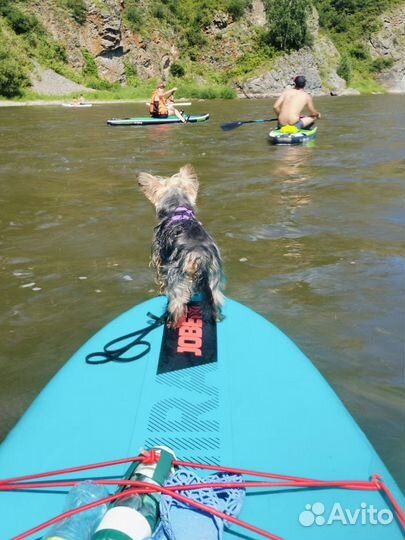 Прокат/Продажа Sup Сап досок