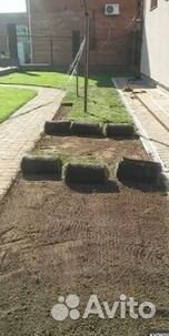 Газон от производителя