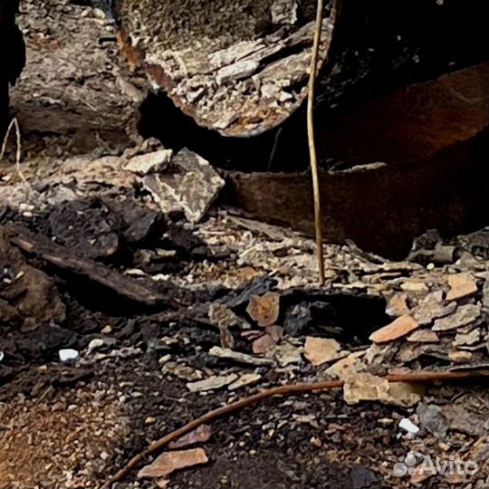 Труба бу 1020х4 мм