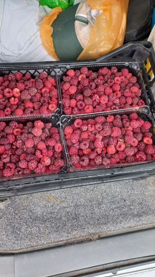 Участок 2,2 га (СНТ, ДНП)