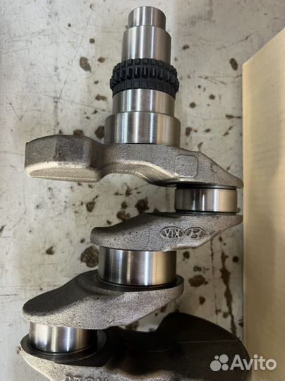 Коленвал 231102E510