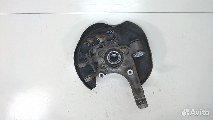 Ступица (кулак, цапфа) Audi A8 (D3), 2003