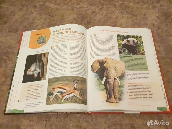 Иллюстрированная Энциклопедия Школьника