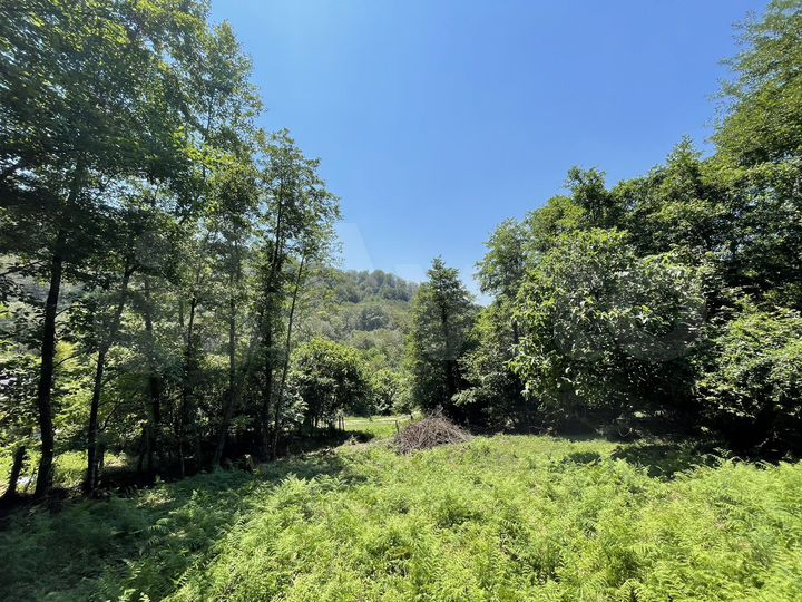 Участок 5 сот. (СНТ, ДНП)