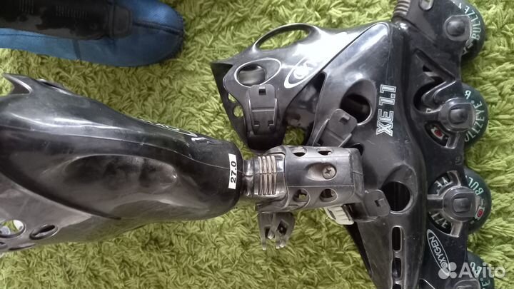 Ролики Австралия