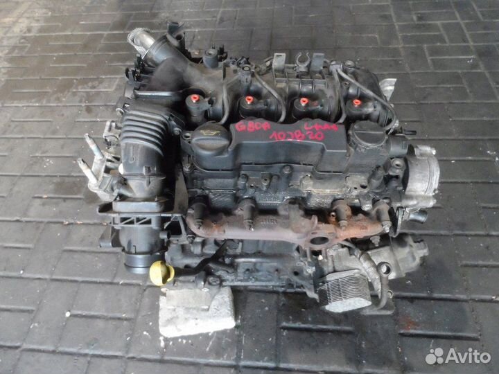 Двигатель контрактный Ford G8DA 1.6