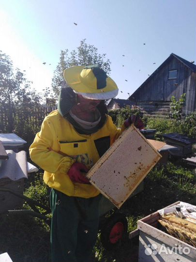 Мёд башкирский