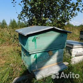 Бу ульи как выбрать, где купить – Матковод АМГ – Карніка, Бакфаст, Італійка