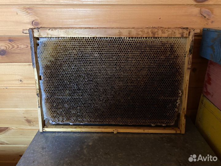 Ульи для пчёл